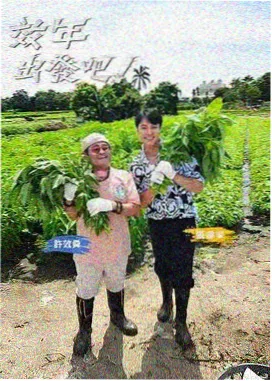 中国诗词大会 久久综合一区